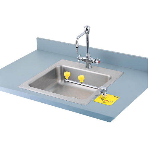 Swing-Away Eyewash Station, Counter-Mount Installation Haskins Industrial Inc.