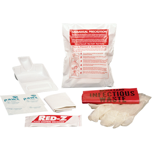 Fluid Spill Clean-Up Kit, Hazmat, Bag Haskins Industrial Inc.