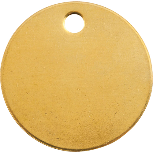 Blank Tags, Brass, 2" dia Haskins Industrial Inc.