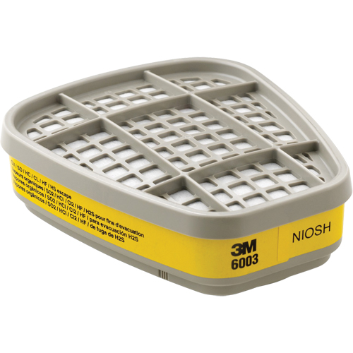 Cartouches pour respirateur s&eacute;rie 6000, Cartouche gaz/vapeur, Vapeurs organiques/Gaz acides Haskins Industrial Inc.