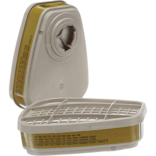 6000 Series Respirator Cartridges, Gas/Vapour Cartridge, Multi-Gas/Vapour Haskins Industrial Inc.