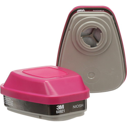 Cartouches pour respirateur s&eacute;rie 6000, Cartouche gaz/vapeur, Vapeurs organiques/P100 Haskins Industrial Inc.