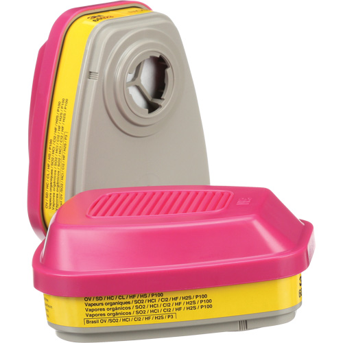 Cartouches pour respirateur s&eacute;rie 6000, Cartouche gaz/vapeur, Vapeurs organiques/Gaz acides/P100 Haskins Industrial Inc.