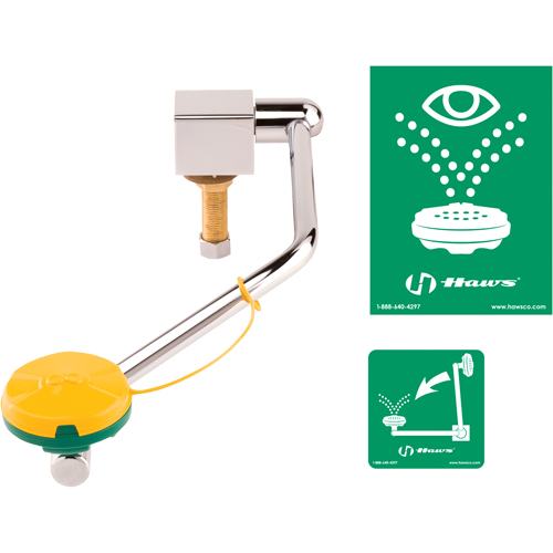 Eye/Face Wash Station, Sink Mount Installation Haskins Industrial Inc.
