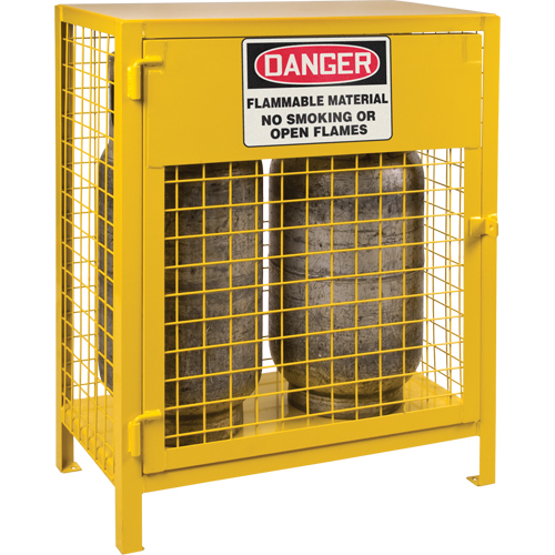 Gas Cylinder Cabinets, 2 Cylinder Capacity, 30" W x 17" D x 37" H, Yellow Haskins Industrial Inc.