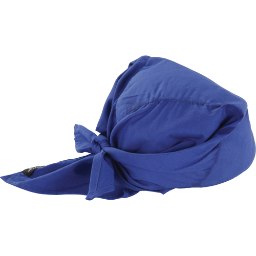 Foulards de refroidissement en triangle Chill-Its 6710CT, Bleu Haskins Industrial Inc.