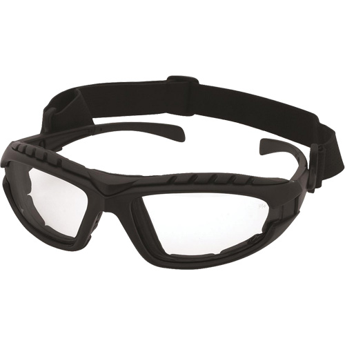 Dustdevil Black Frame Safety Glasses, Clear Lens, Anti-Fog/Anti-Scratch, ANSI Z87+/Meets/Exceeds CSA Z94.3 Haskins Industrial Inc.