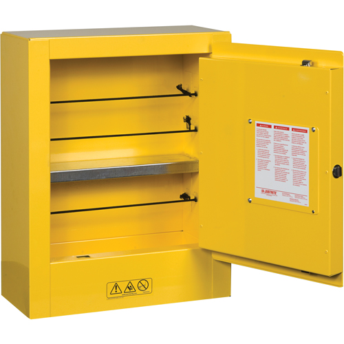Sure-Grip&reg; EX Mini Flammable Safety Cabinet, 2 Gal., 1 Door, 17" W x 22" H x 8" D Haskins Industrial Inc.