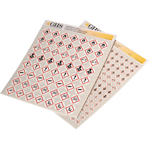GHS Hazard Pictogram Label Variety Packs, Vinyl, Sheet, 1/2" L x 1/2" W Haskins Industrial Inc.