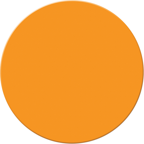 Marqueurs all&eacute;g&eacute;e/5S Armor Stripe, Cercle, 6" lo x 6" la, Orange, Plastique Haskins Industrial Inc.