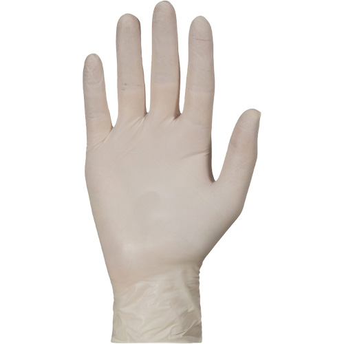 KeepKleen&reg; Disposable Medical Exam Grade Gloves, Large, Latex, 5-mil, Powder-Free, White, Class 2 Haskins Industrial Inc.