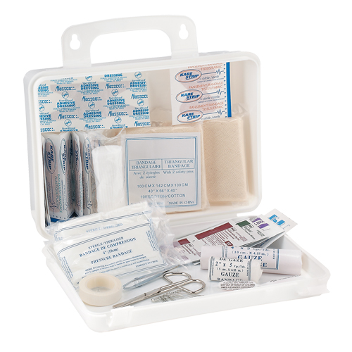 Trousse de premiers soins pour camion Dynamic, Dispositif m&eacute;dical Classe 1, Boîte en plastique Haskins Industrial Inc.