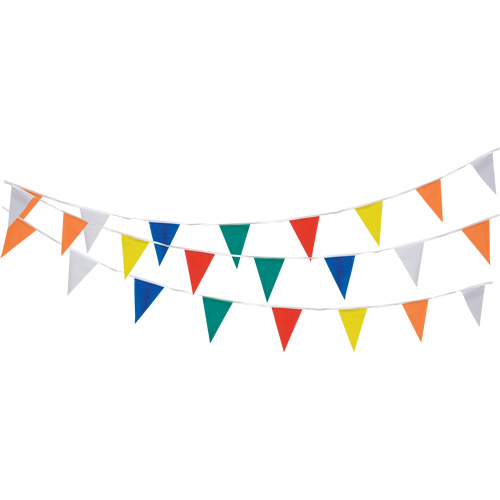 Pennant String, 60' L, Multicolour Haskins Industrial Inc.