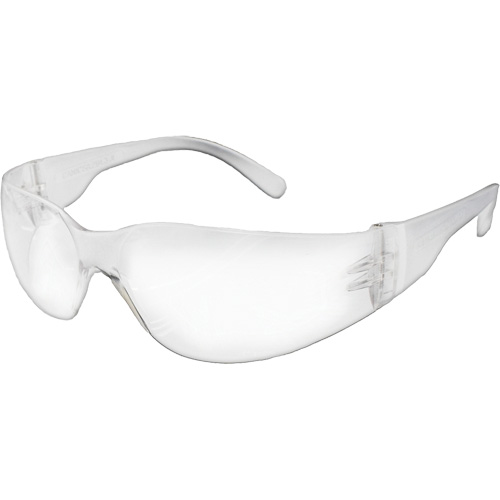 Lunettes de s&eacute;curit&eacute; s&eacute;rie E NOVA, Lentille Transparent, R&eacute;pond ou surpasse la norme CSA Z94.3 Haskins Industrial Inc.