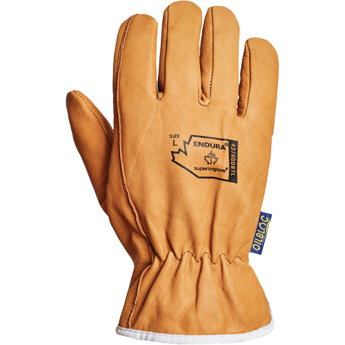 Endura&reg; Driver's Glove, Small, Grain Goatskin Palm, Thinsulate Inner Lining Haskins Industrial Inc.