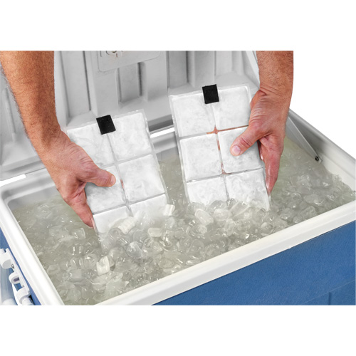 Sachets pour veste de refroidissement &agrave; changement de phase 6260 Chill-Its Haskins Industrial Inc.