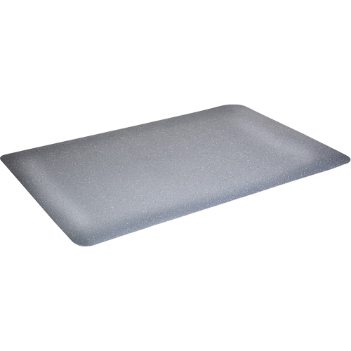 Tapis antimicrobiens WD Foodmaster, Lisse, 3' x 4' x 9/16", Gris, Nitrile/Caoutchouc Haskins Industrial Inc.