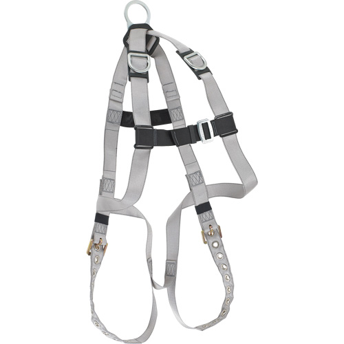 Dynamic B-Compliant Economy Harness, CSA Certified, Class AE, 310 lbs. Cap. Haskins Industrial Inc.