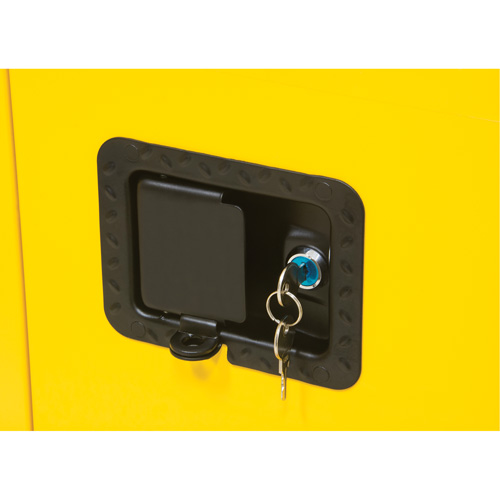 Flammable Storage Cabinet, 60 gal., 2 Door, 34" W x 65" H x 34" D Haskins Industrial Inc.