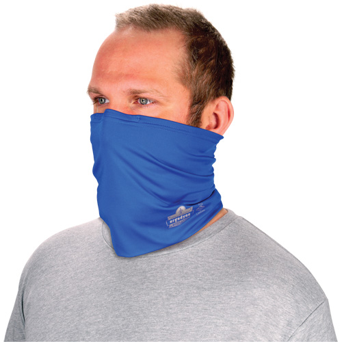 Chill-Its&reg; 6489 2-Layer Cooling Multi-Band, Blue Haskins Industrial Inc.