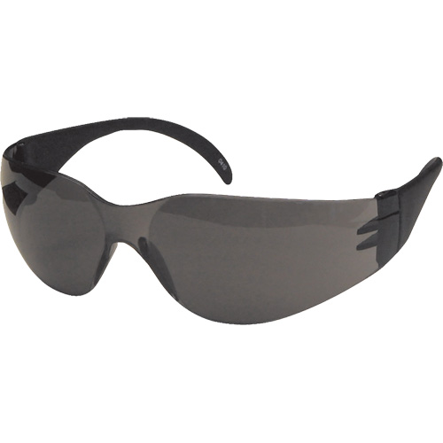CeeTec Safety Glasses, Grey Lens, Anti-Scratch, Meets/Exceeds CSA Z94.3 Haskins Industrial Inc.