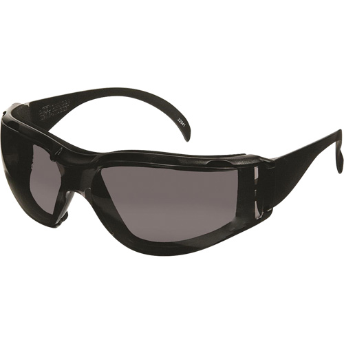 Lunettes de s&eacute;curit&eacute; CeeTec DX, Lentille Gris, Antibu&eacute;e/Anti-&eacute;gratignures, R&eacute;pond ou surpasse la norme CSA Z94.3 Haskins Industrial Inc.