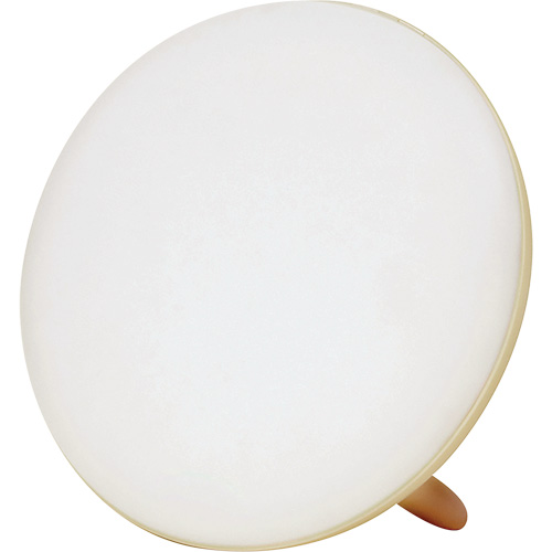 Lampe &agrave; luminoth&eacute;rapie pour le traitement de la d&eacute;pression saisonni&egrave;re Haskins Industrial Inc.