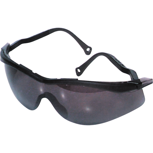 Lunettes de s&eacute;curit&eacute; North The Edge, Lentille Fum&eacute;e, Antibu&eacute;e/Anti-&eacute;gratignures, R&eacute;pond ou surpasse la norme CSA Z94.3 Haskins Industrial Inc.