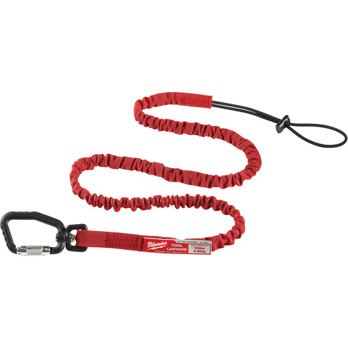 Extended Reach Locking Tool Lanyard, Bungee, Carabiner/Loop Haskins Industrial Inc.