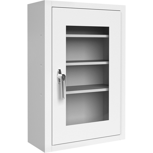 Lockable Medicine Cabinet with Plexiglas Door Haskins Industrial Inc.