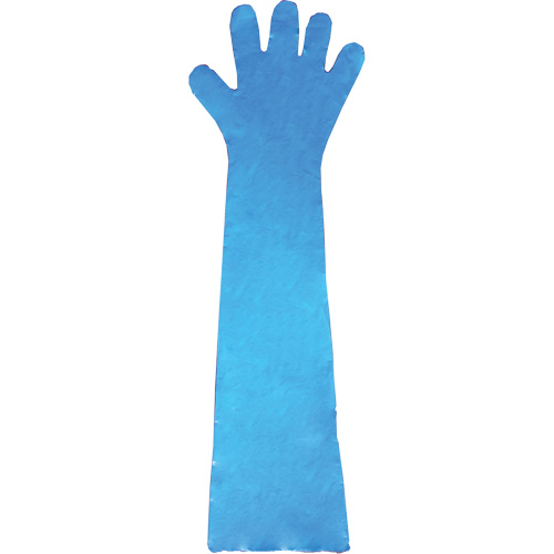 Disposable Gloves, Polyethylene, Powder-Free, Blue Haskins Industrial Inc.