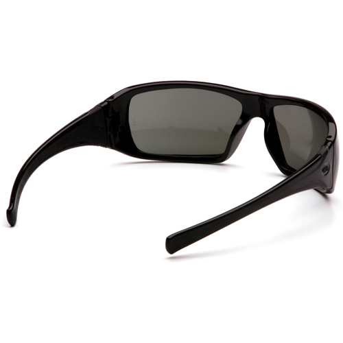 Lunettes de s&eacute;curit&eacute; &agrave; monture compl&egrave;te Goliath, Lentille Gris, Polaris&eacute;, ANSI Z87+/R&eacute;pond ou surpasse la norme CSA Z94.3 Haskins Industrial Inc.