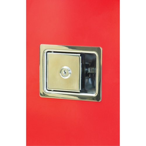 Heavy-Duty Outdoor Fire Extinguisher Cabinet, 14" W x 28" H x 10" D Haskins Industrial Inc.