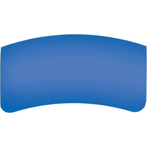 Bullard GenVX PETG Outer Lens Haskins Industrial Inc.