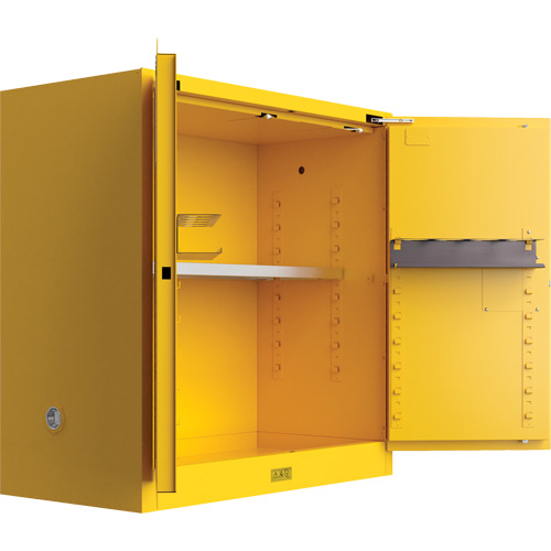 Armoire de s&eacute;curit&eacute; pour produits inflammables Utili-Guard+, 30 gal., 1 Porte(s), 43" La x 44" h x 22" p Haskins Industrial Inc.