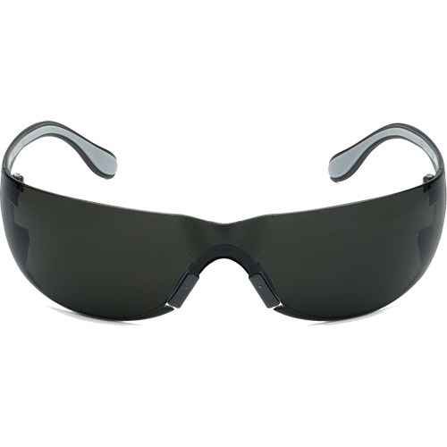 Adapt Lite Safety Glasses, Smoke Lens, Anti-Fog/Anti-Scratch, ANSI Z87+/Meets/Exceeds CSA Z94.3 Haskins Industrial Inc.