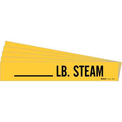 "LB. Steam" Pipe Markers, Self-Adhesive, 2-1/4" H x 2-3/4" W, Black on Yellow Haskins Industrial Inc.