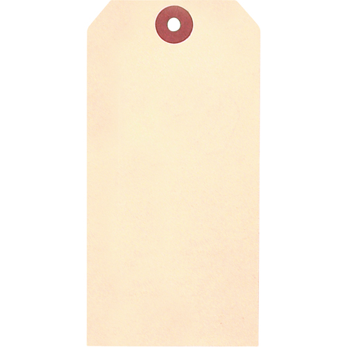 Manila Blank Tags, Cardstock, 1-5/8" W x 3-1/4" H Haskins Industrial Inc.
