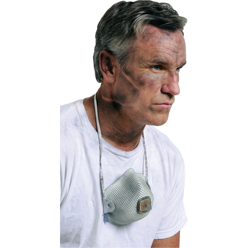 Respirateurs  contre les particules 2700, N95, Certifi&eacute; NIOSH, Grand/Moyen Haskins Industrial Inc.