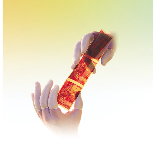 Doigtiers en latex poudr&eacute;s QRP Haskins Industrial Inc.