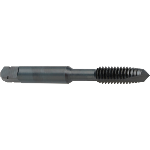 Taraud &agrave; entr&eacute;e h&eacute;licoidale, Acier rapide au cobalt, Filet de 8-32, 2-1/8" l Haskins Industrial Inc.