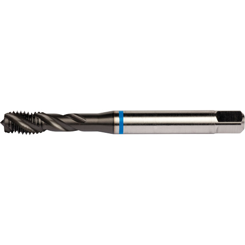 Taraud &agrave; cannelures h&eacute;licoidales Blue Shark, Acier rapide au cobalt, Filet de 1/4"-28, 3,15" l Haskins Industrial Inc.