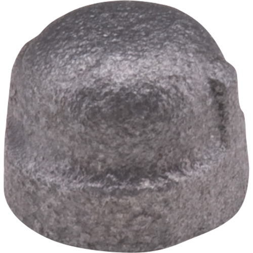 Cap, 1/8", Malleable Iron Haskins Industrial Inc.