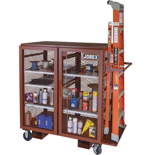 Mobile Mesh Cabinet, Steel, 37 Cubic Feet, Red Haskins Industrial Inc.