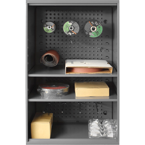 Armoire d'entreposage de produits abrasifs avec panneau perfor&eacute;, Acier, 19-7/8" x 14-1/4" x 32-3/4", Gris Haskins Industrial Inc.
