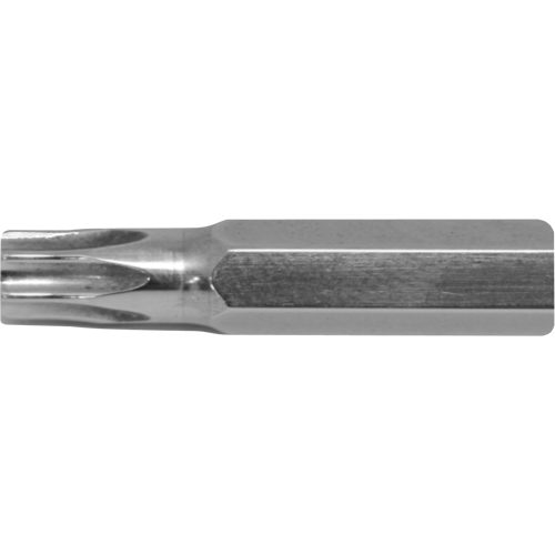 Embout de rechange pour tournevis multi embouts Stubby, Torx, 8, Prise 1/4" Haskins Industrial Inc.
