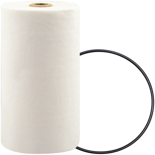 P7247 Filtre pour liquide de refroidissement &agrave; visser avec additif BTE Haskins Industrial Inc.