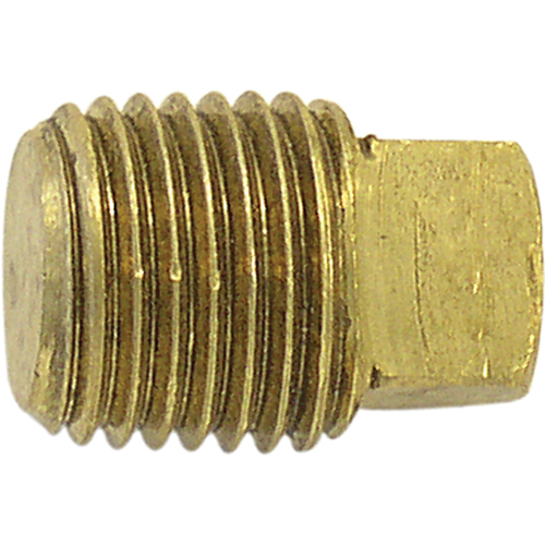 Pipe Plugs (Square Head), 1/8" Dia., Brass Haskins Industrial Inc.