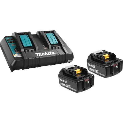 Li-Ion Battery & Dual-Port Charger Kit, 18 V, Lithium-Ion Haskins Industrial Inc.