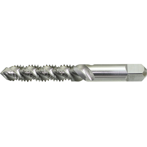Taraud &agrave; main &agrave; cannelure spiral&eacute;e DRILLCO, Acier rapide, Filet 1/4"-20 Haskins Industrial Inc.